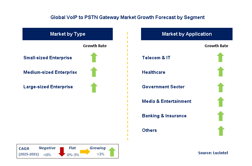 VoIP To PSTN Gateway Market by Segment
